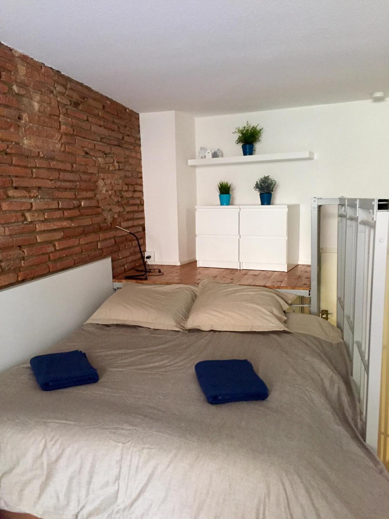 Le Petit Moulin, Duplex Hypercentre Toulouse Apartment Exterior foto